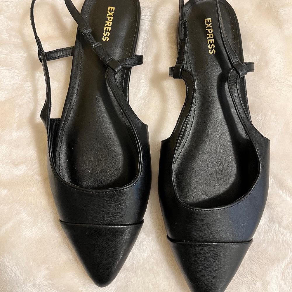 Express Slingback Pointed toe flats